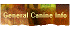 General Canine Info